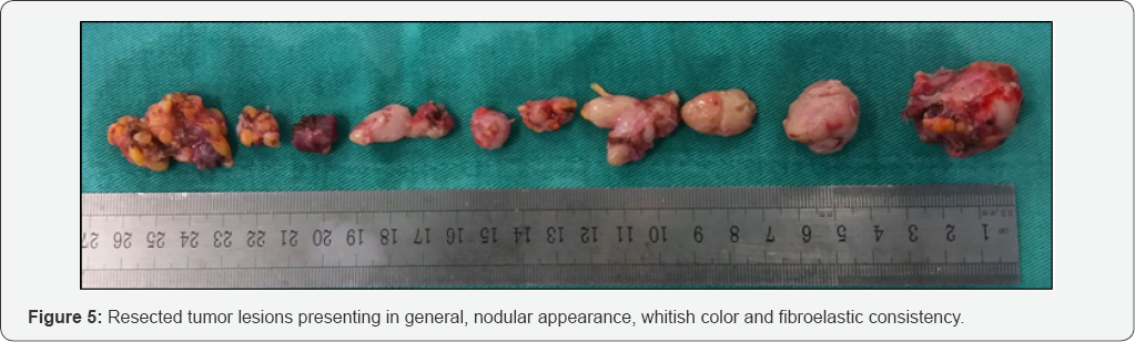 Click here to view Large Figure 1