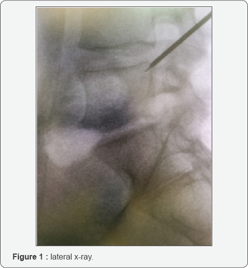 Click here to view Large Figure 1