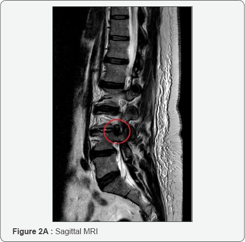 Click here to view Large Figure 2a