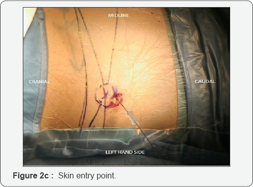 Click here to view Large Figure 2c