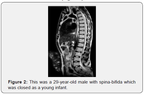 Click here to view Large Figure 2