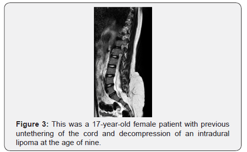 Click here to view Large Figure 3