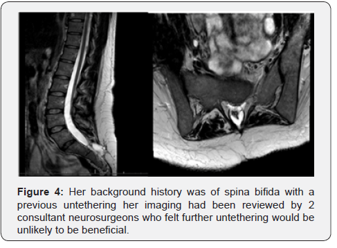 Click here to view Large Figure 4