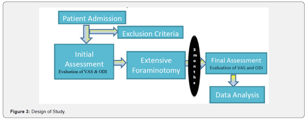Click here to view Large Figure 3