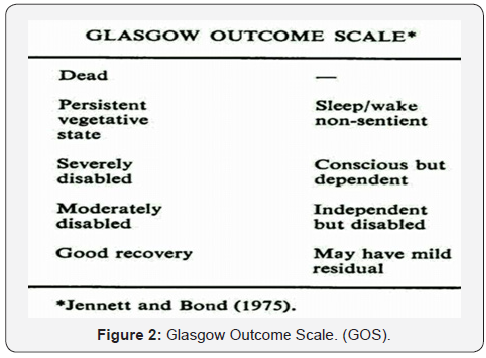 Click here to view Large Figure 2