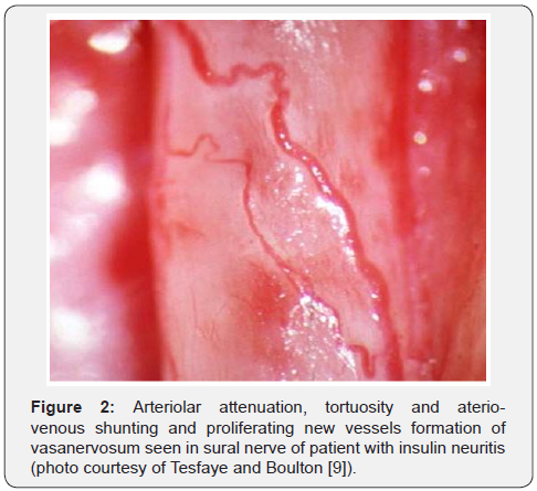 Click here to view Large Figure 2