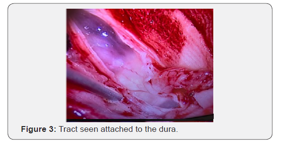 Click here to view Large Figure 3