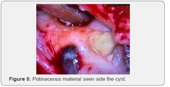 Click here to view Large Figure 5