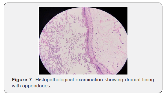 Click here to view Large Figure 7