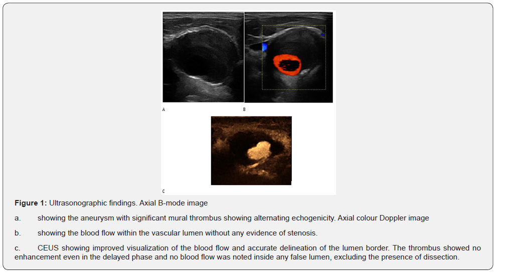 Click here to view Large Figure 1