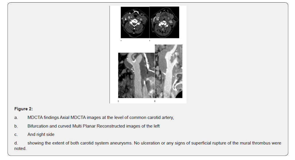 Click here to view Large Figure 2