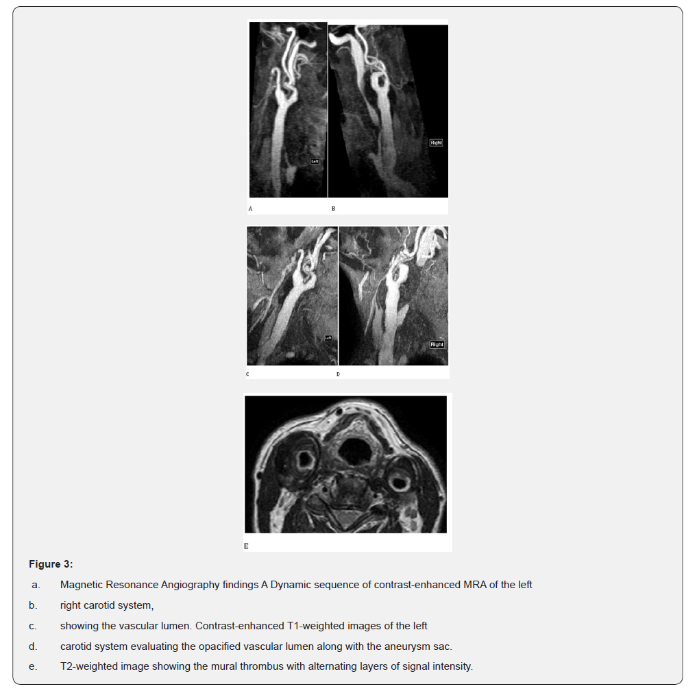 Click here to view Large Figure 3