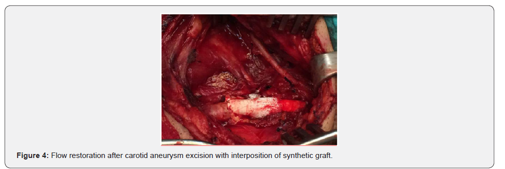 Click here to view Large Figure 4