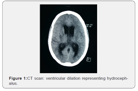 Click here to view Large Figure 1