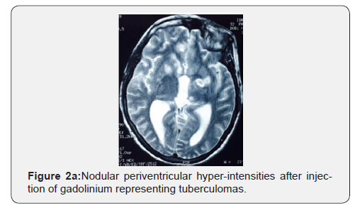 Click here to view Large Figure 2a