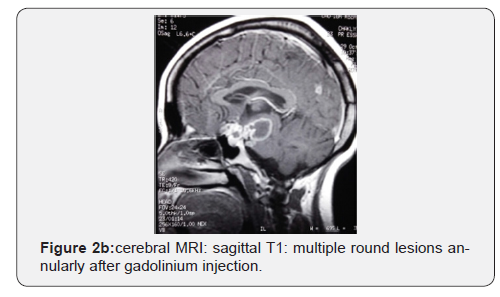 Click here to view Large Figure 2b