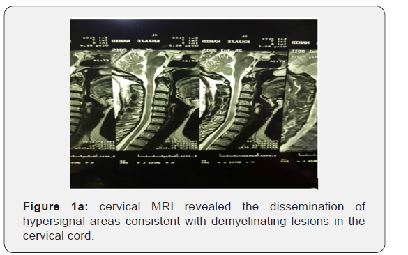 Click here to view Large Figure 1a