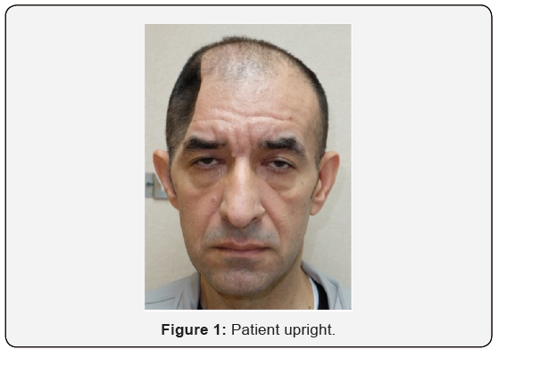 Click here to view Large Figure 1