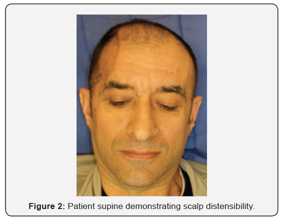 Click here to view Large Figure 2