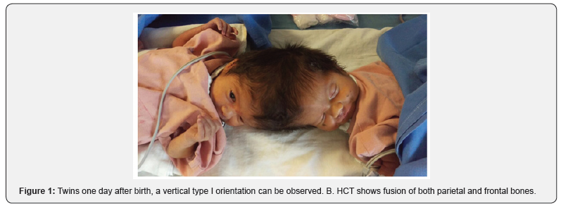 Click here to view Large Figure 1