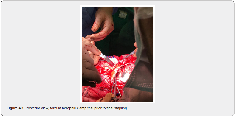 Click here to view Large Figure 6