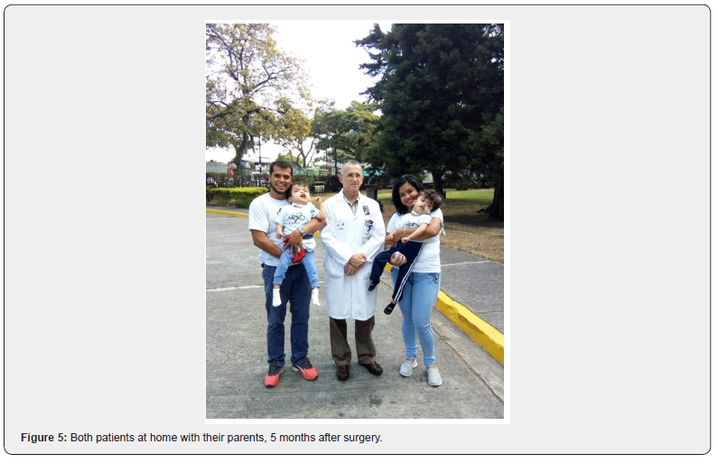 Click here to view Large Figure 7