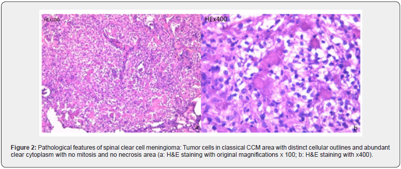 Click here to view Large Figure 2