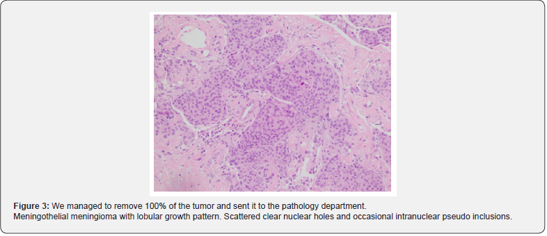 Click here to view Large Figure 3