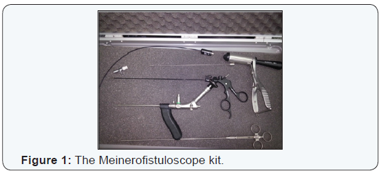 Click here to view Large Figure 1