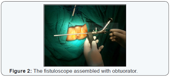 Click here to view Large Figure 2