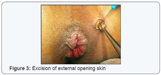 Click here to view Large Figure 3