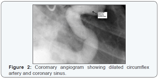 Click here to view Large Figure 2