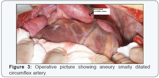 Click here to view Large Figure 3