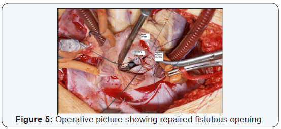 Click here to view Large Figure 5