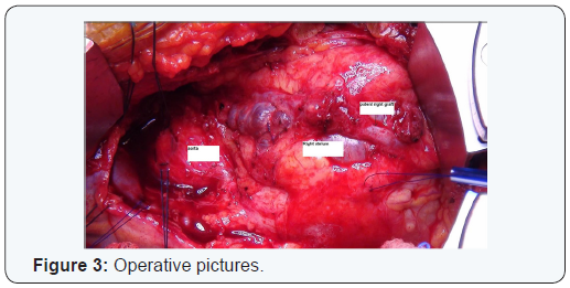 Click here to view Large Figure 3