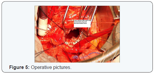 Click here to view Large Figure 5