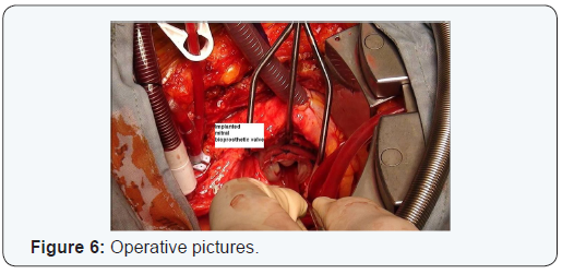 Click here to view Large Figure 6