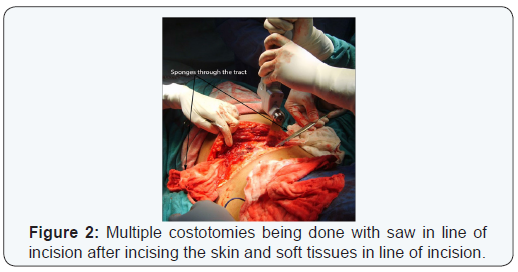 Click here to view Large Figure 2