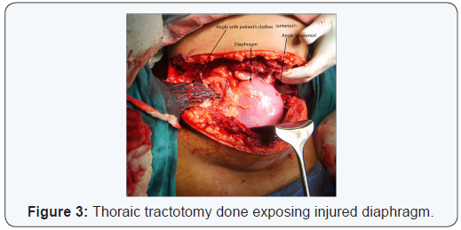 Click here to view Large Figure 3