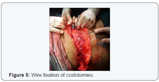 Click here to view Large Figure 5