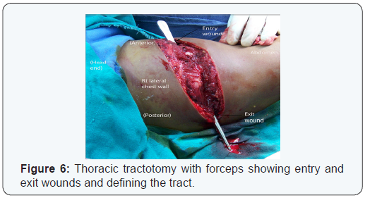 Click here to view Large Figure 6