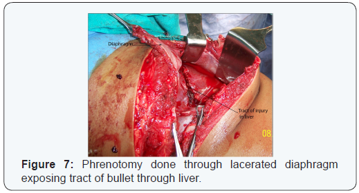 Click here to view Large Figure 7