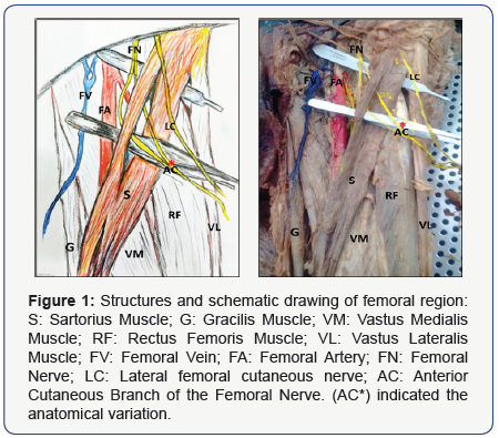 Click here to view Large Figure 1