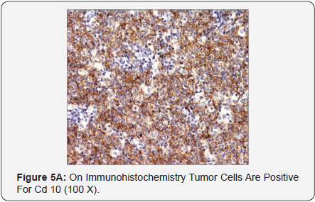 Click here to view Large Figure 5A