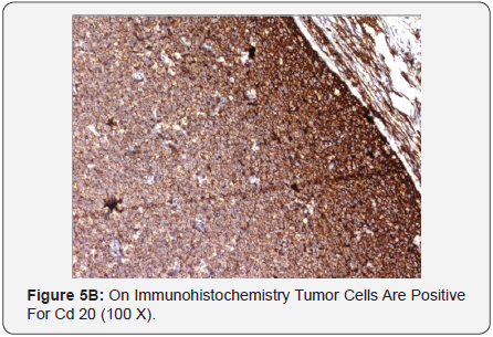 Click here to view Large Figure 5B