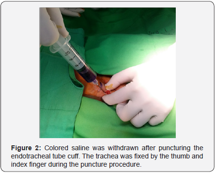 Click here to view Large Figure 2