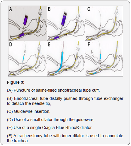 Click here to view Large Figure 3