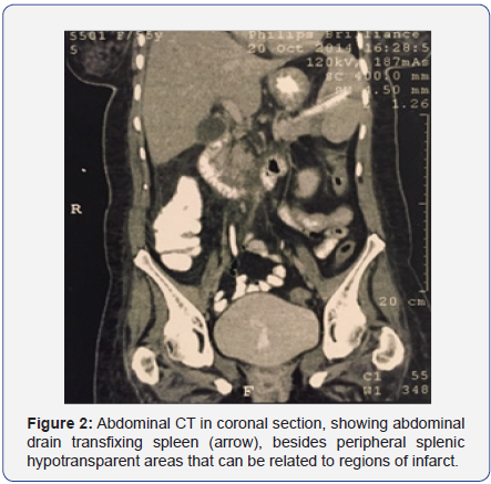 Click here to view Large Figure 2