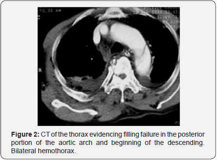 Click here to view Large Figure 2