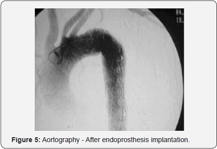 Click here to view Large Figure 5